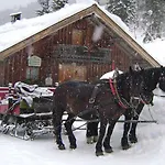 Bio-hotel Rupertus 4* Leogang