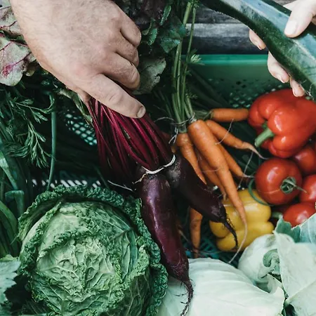 Biohotel Rupertus Szálloda Leogang